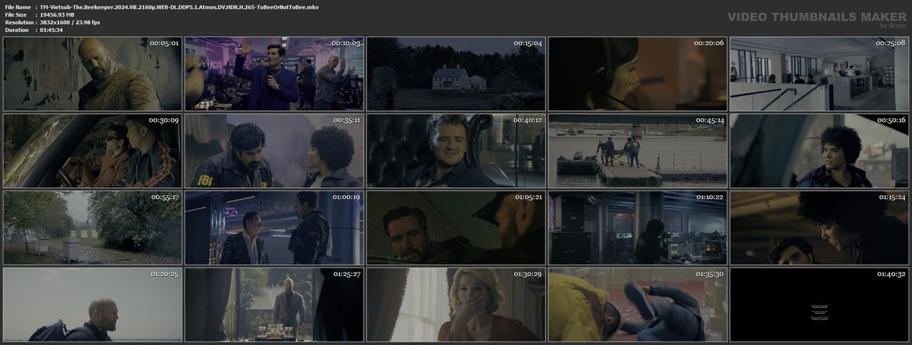 TM-Vietsub-The-Beekeeper-2024-Vi-E-2160p-WEB-DL-DDP5-1-Atmos-DV-HDR-H-265-To-Bee-Or-Not-To-Bee-mkv.jpg