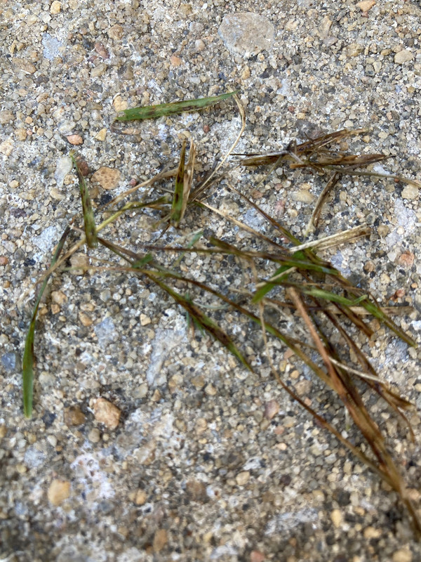 03E573D4-3CCC-4265-87C7-295738460710