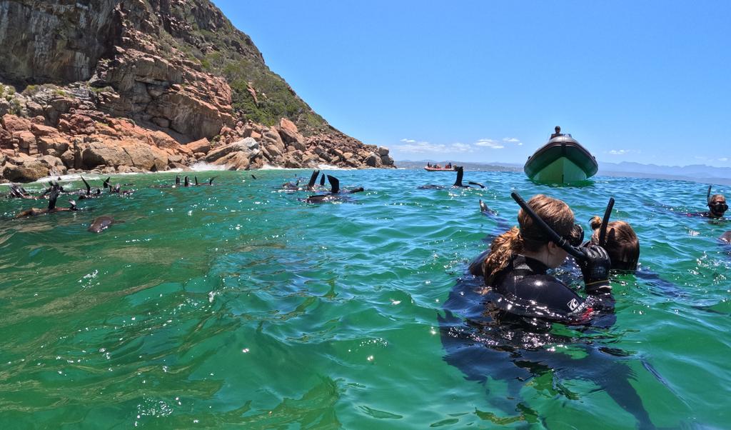 Такая близкая Африка. (ЮАР. 22 дня и 4200 км. Ноябрь-Декабрь)