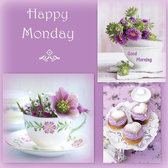 MONDAY-lundi-39