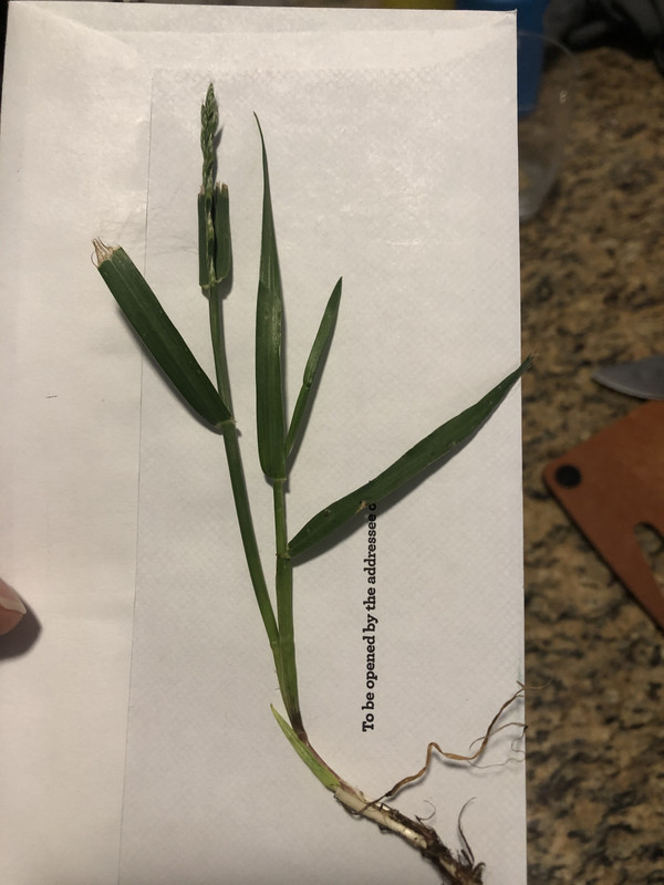 9281C1A0-020D-4349-BDFD-DA16AE96116B