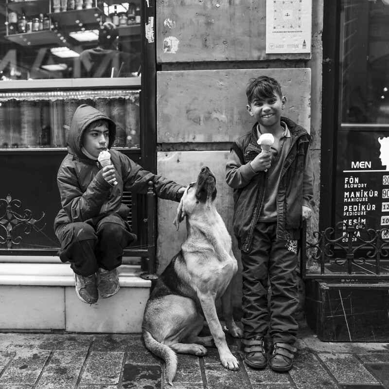 people-dogs-ice-cream.jpg