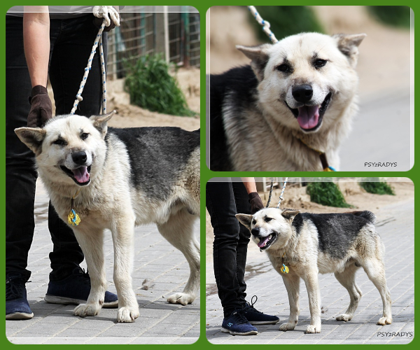 BeFunky-collage (15)