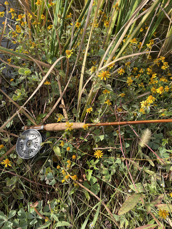 6A44DC2B-0761-4A04-94B1-993808B37456