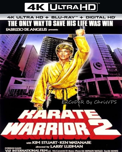 Wojownik karate 2 / Karate Warrior 2 (1988) MULTI.HDR.AI.UP.2160p.WEB.DL.AC3-ChrisVPS / LEKTOR i NAPISY