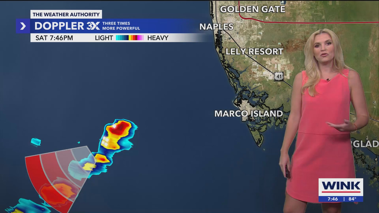 06.02 - 00.30.00 - WINK News at 7 30PM..ts_snapshot_22.34.085