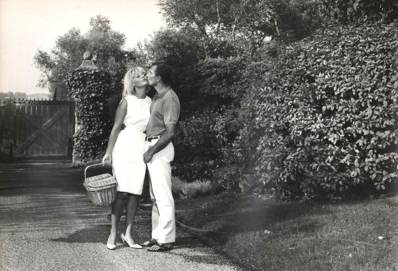 dany saval b88