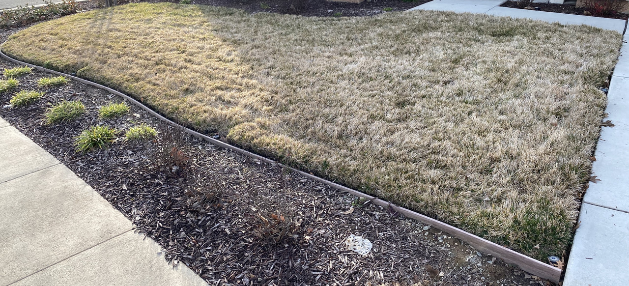 3B7E5437-62E0-496C-A272-E910A04E20A4