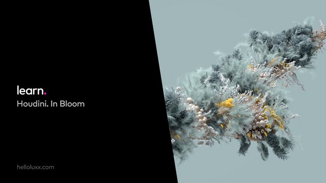 helloluxx - learn. Houdini. In Bloom with Rich Nosworthy