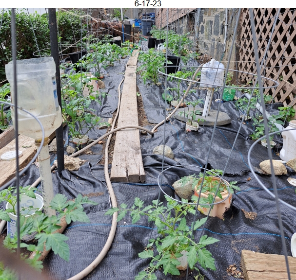 Garden-9-17-23