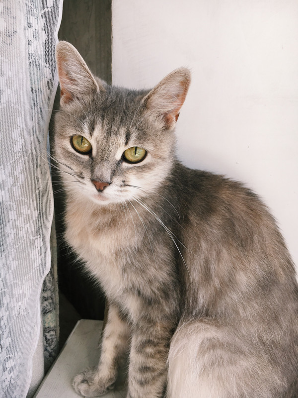 51462E68-188A-4473-A773-FD18F0DF5321