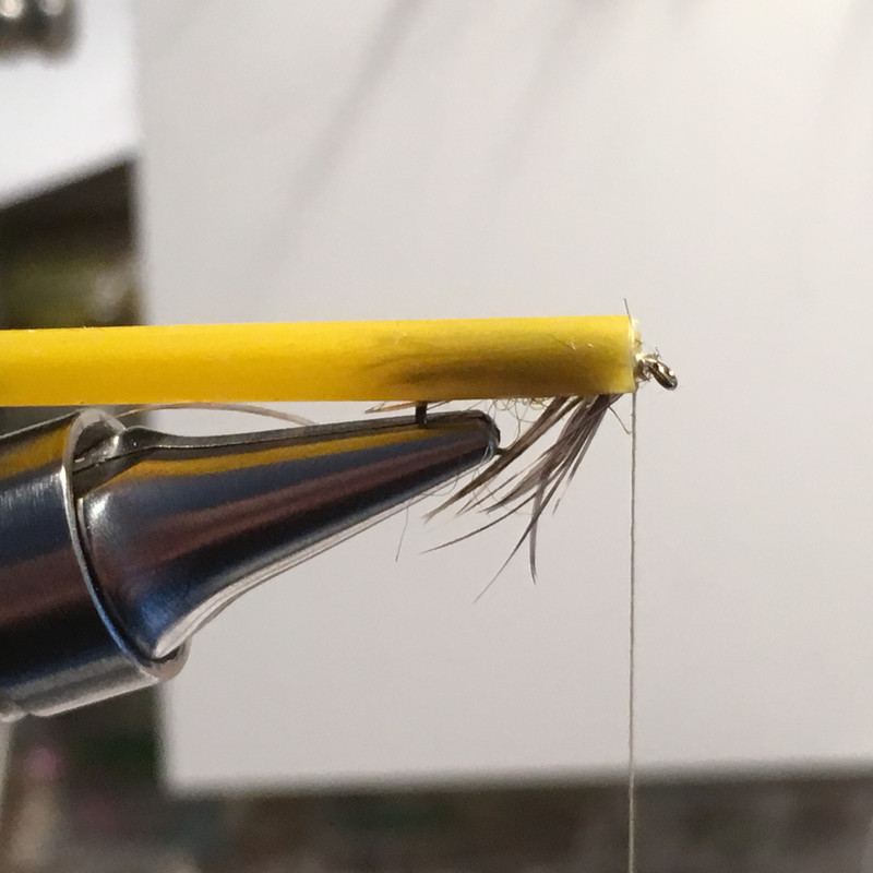 28F09CE7-ADED-43E8-9C15-9508F44F2607