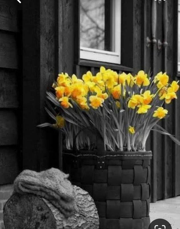 Screenshot_20230416_011153_Pinterest