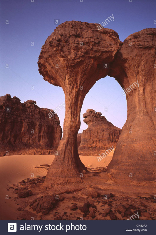 D91AC185-CC06-4E22-A28B-2CCAF3465106