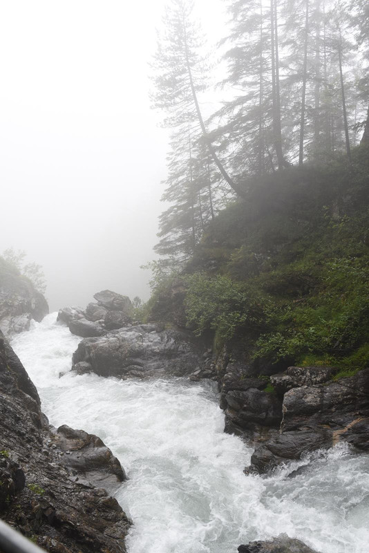 Huyendo del COVID a los Alpes (2020) - Blogs de Suiza - De casa a Grindelwald (Zona de Interlaken) (70)