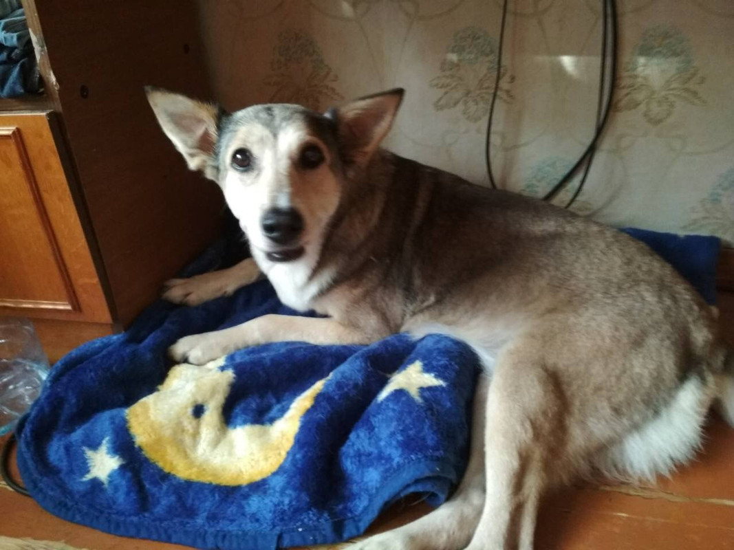 A381FB3A-B1EE-4484-B20E-F14683606DA8