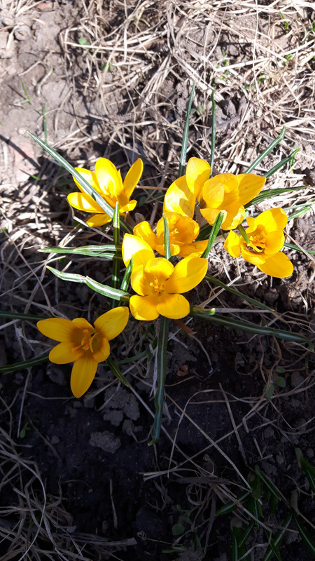20190308_125601