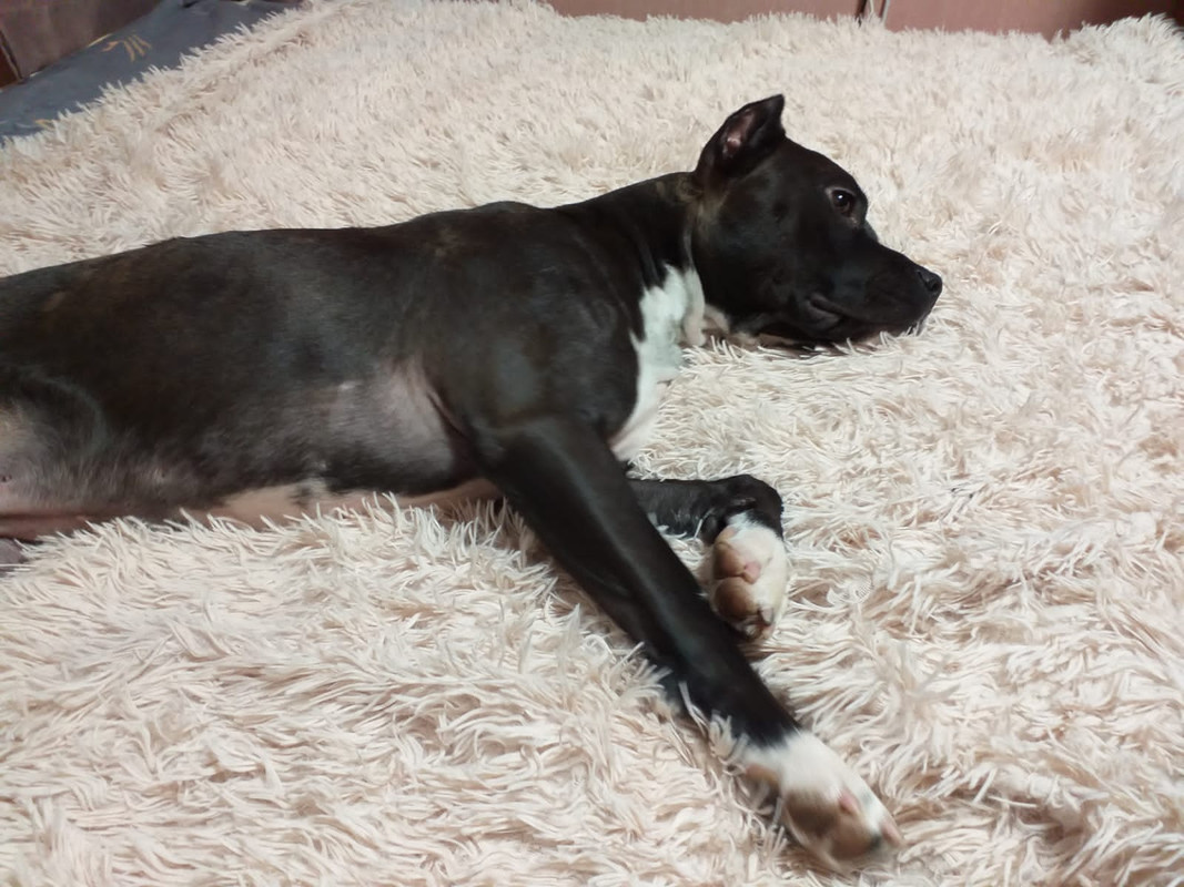 FBCBC2EE-BC62-4F76-BDAA-DBE1E2A2D82A