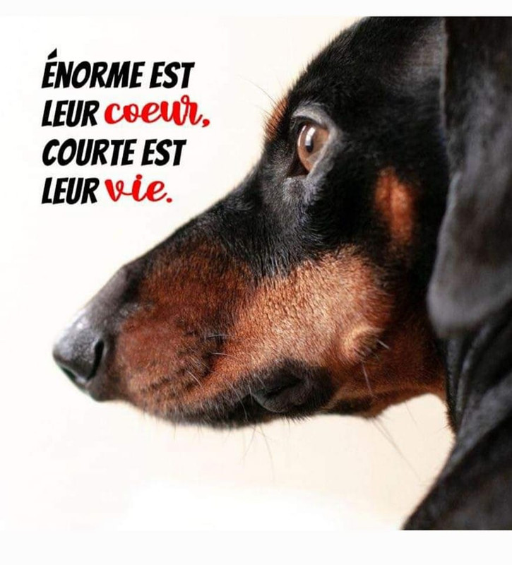 [Image: 329139269-529424099293174-4042262545004143215-n.jpg]