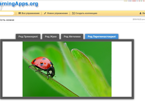 изображение_viber_2023-11-30_12-06-38-269