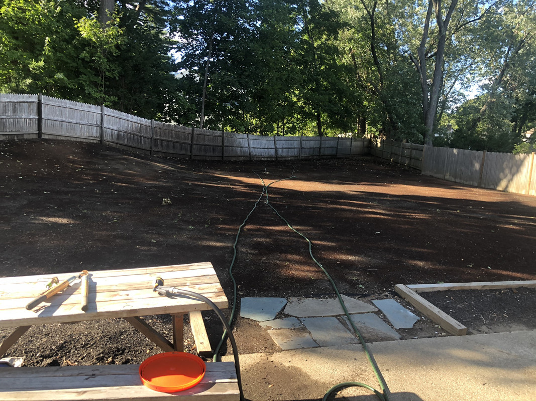 08_20_20 Backyard1