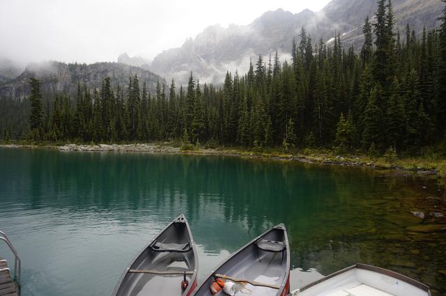 Día 10: Yoho National Park, lago O'Hara - Vancouver y Rocosas Low Cost: Dos semanas por lo mejor de Canadá (2)