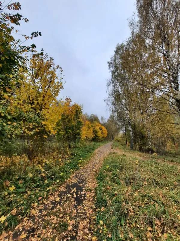 oILUvn-3sOaSrAeTsz3AbVCo-KoVDBkH8EXYE6r9PPewOigtZL1fn4c2_6BY-mu5VgaMYRDGyfnV3R_pfST42WAL