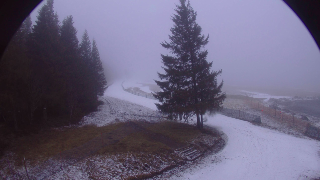 les-estables-ski-nordique-2025-03-10-08-