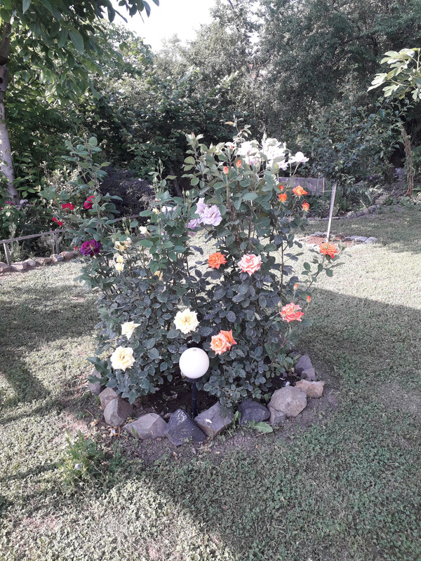 20190601_180432