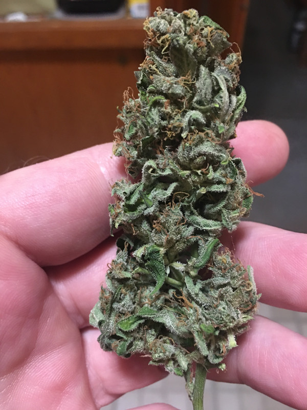 33ED3304-8C03-42F8-B033-E1A67BA4E761