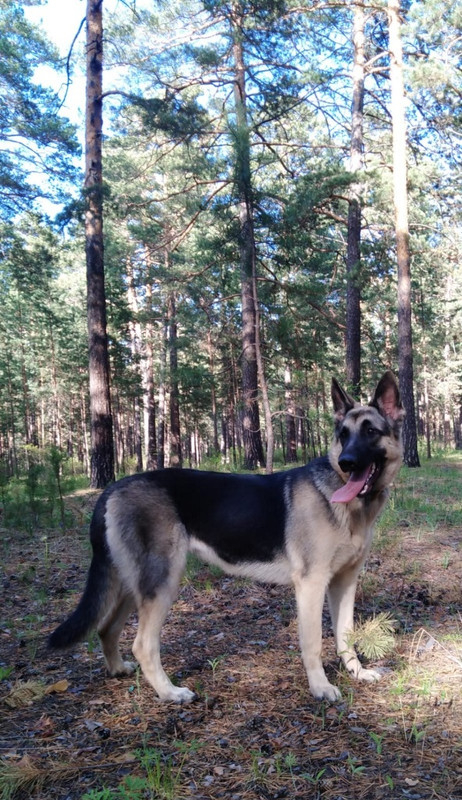 S01LJTiQGV1VAQERbvgkoHp_C_h7xHeuFfA0gOSVX17Zw8h90anV1wrNxPB8IWBJefsPnidpsAW_LABIjCxC9WTZ