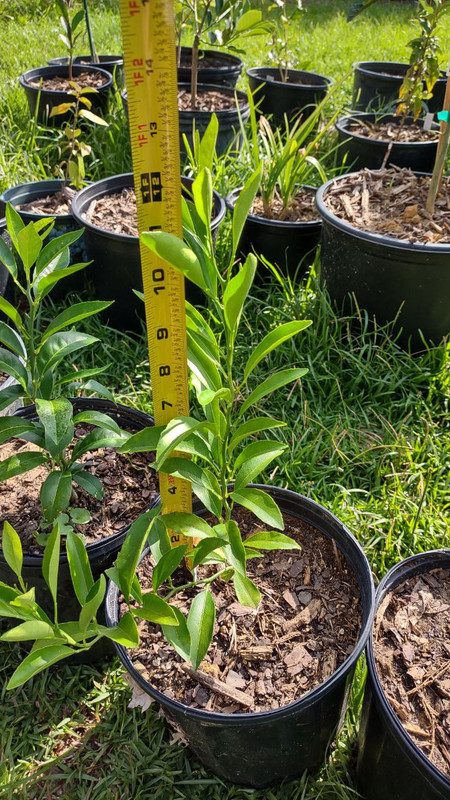 photo_2025-07-23_09-30-08 (8)