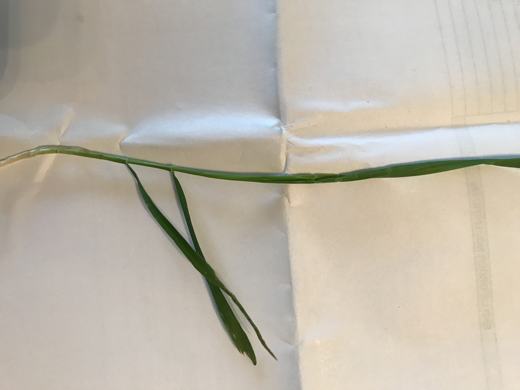 AED034B3-581C-4178-B54E-DBE4644AF0A9