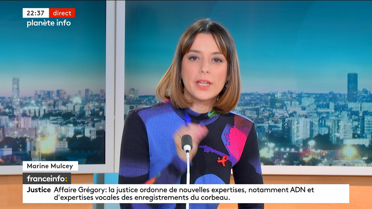 Planète info (Franceinfo)_2024_03_21_20_53_27.ts_snapshot_00.44.49.431