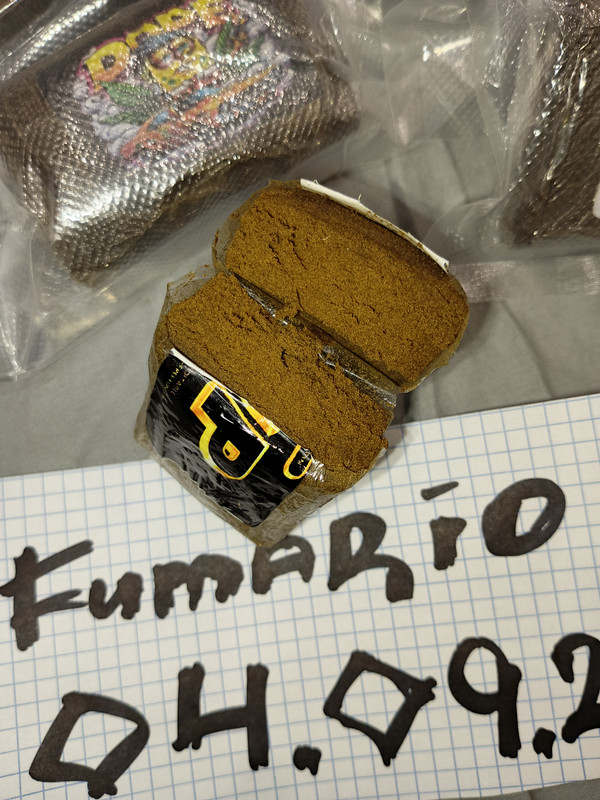 IMG_20250905_163344_534