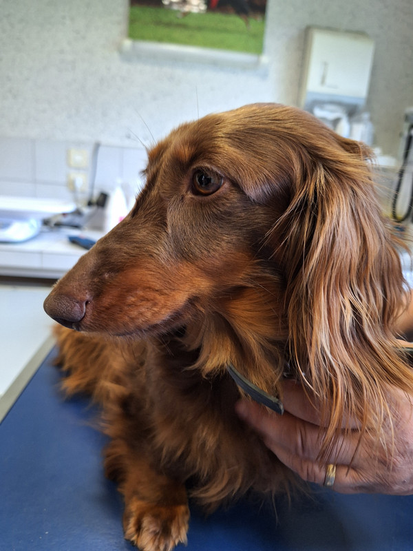 [Image: 20240419-172419-0.jpg]