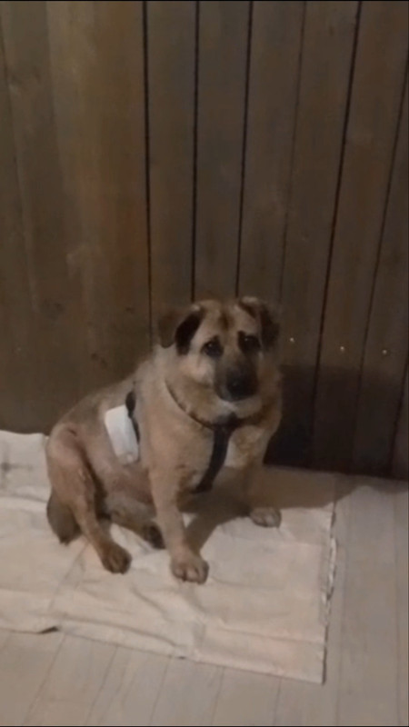 Мой фильм 11(1)