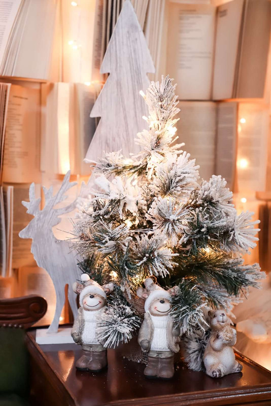 img_10_1639574012643