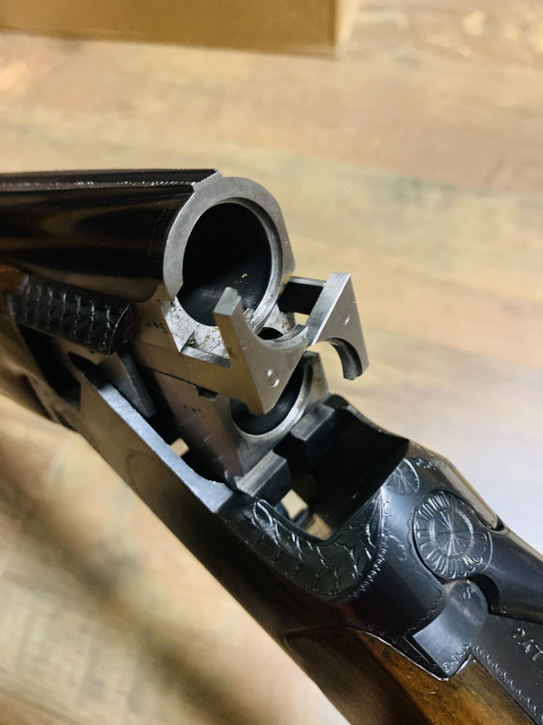 [Linked Image from i.postimg.cc]