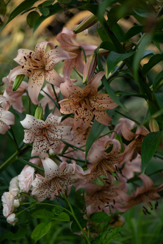 IMG-6e02a368372d9629f7fc6440b22a9705-V
