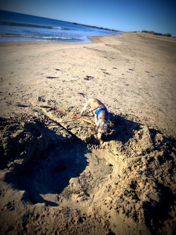 [Image: IMG-1382.jpg]