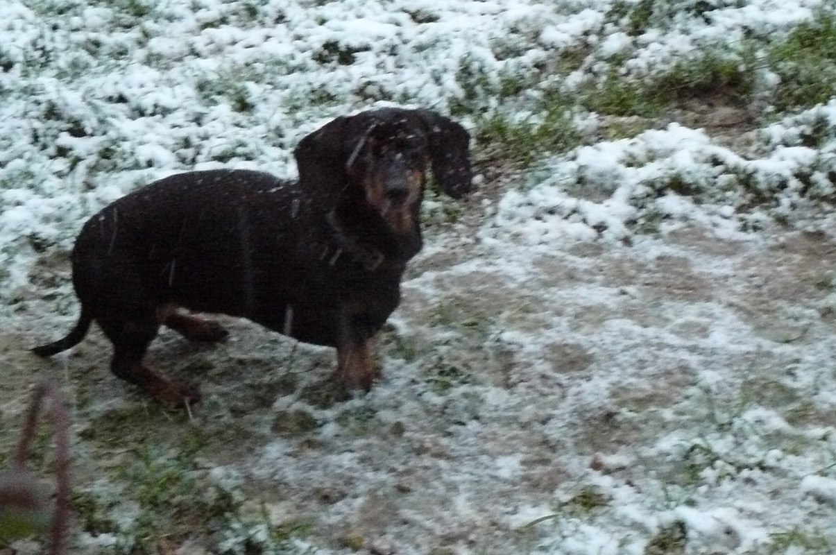 [Image: P1240620.jpg]