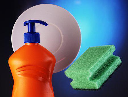 Hoarding Cleanup Tampa FL