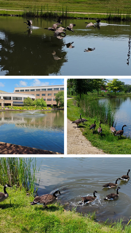 20250714_200411-COLLAGE