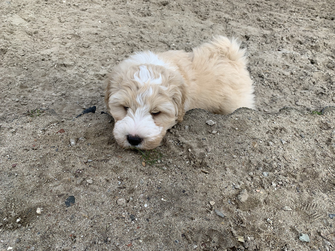 4F9332D1-02F6-47E3-BAD2-74FF0DE5C1CC