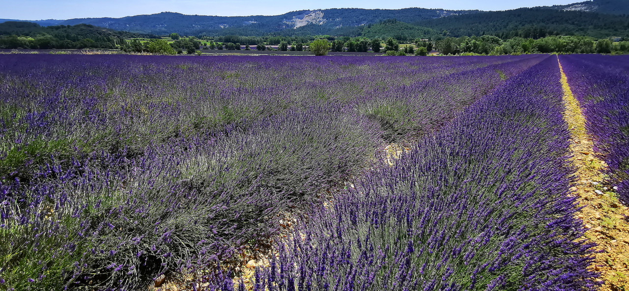 https://i.postimg.cc/kg7fh7Rw/IMG_20230624_125651.jpg
