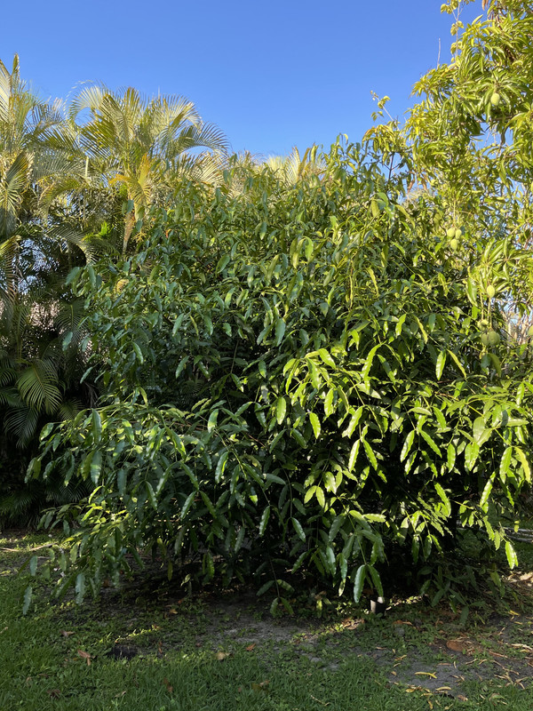 9202A67C-1CD5-41B5-B58E-89CDCC77F450