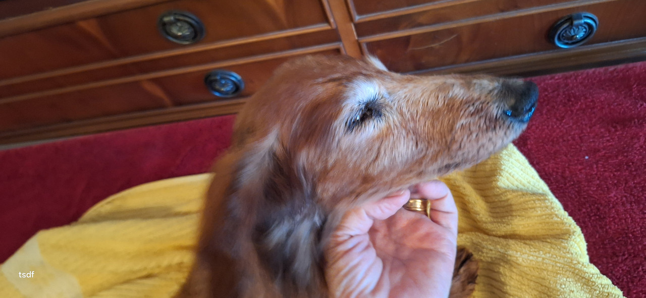 [Image: 20250719-100911.jpg]