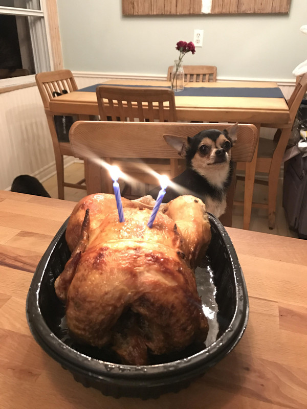 (JPEG Image, 3024?×?4032 pixels) - Scaled (19%)