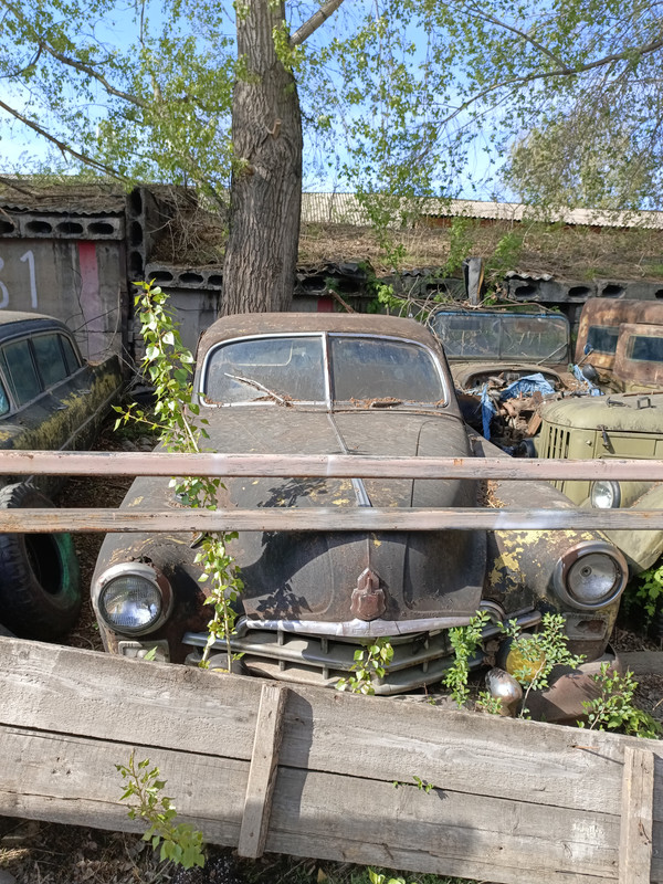 IMG_20240517_161706_972